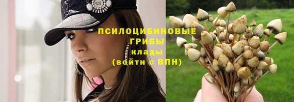 твердый Баксан