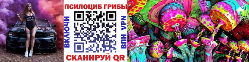 маркетплейс официальный сайт  блэк спрут зеркало  Протвино  Галлюциногенные грибы Magic Shrooms 